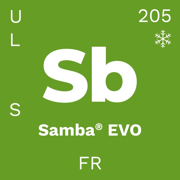 be.tex Samba EVO 160cm 205g