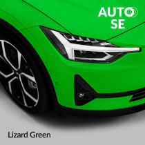 AUTO SE Lizard green
