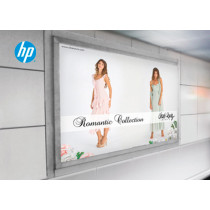 HP Premium Vivid Color Backlit Film
