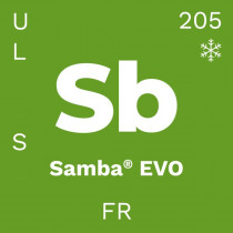 be.tex Samba EVO 320cm 205g
