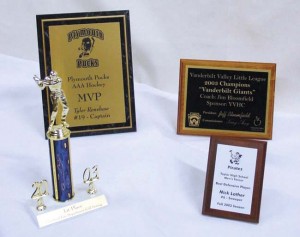 *Flexibrass 0,5mm Trophy Silver/Black 610 X 1238 mm