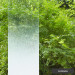 3M Fasara Lontano Gradation 