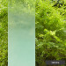 3M Fasara Sabrina Gradation
