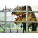 *IP 2557 1,52X50m Cast Clear Graphics Film