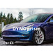 DYNOprism Paint Protection Film (PPF)